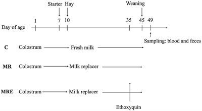 Effects of milk, milk replacer, and milk replacer plus ethoxyquin on the growth performance, weaning stress, and the fecal microbiota of Holstein dairy calves